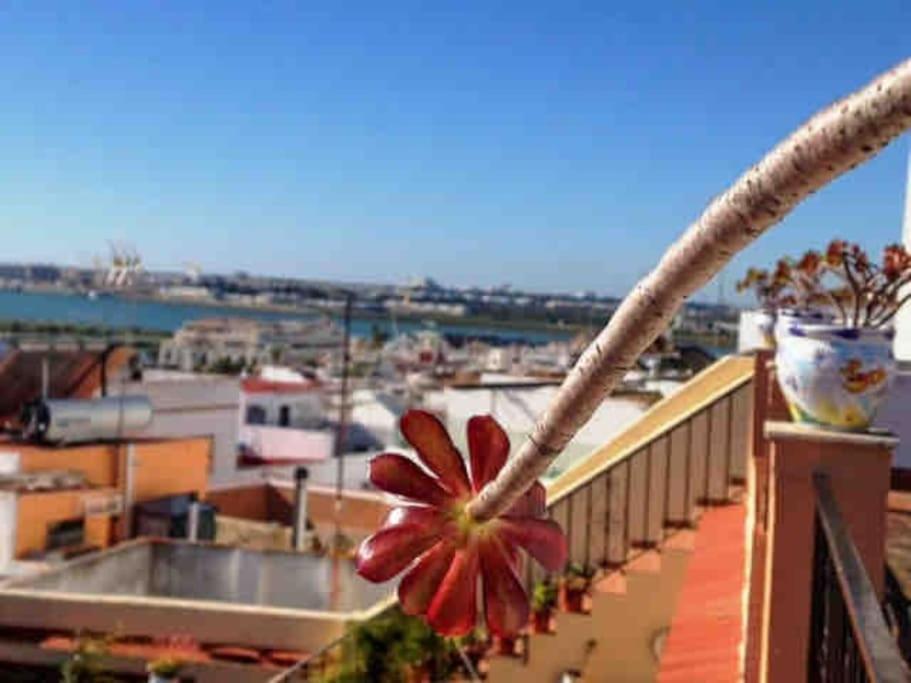 “Flor De Sal” Charming Traditional Andalusian House Ayamonte Eksteriør billede