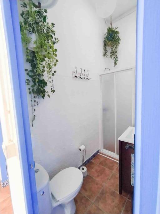 “Flor De Sal” Charming Traditional Andalusian House Ayamonte Eksteriør billede